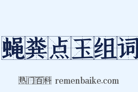 蝇粪点玉组词是什么意思的图片